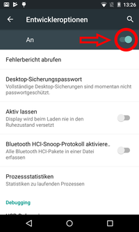 Screenshot Entwickleroptionen